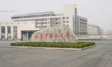 山東中醫藥大學中心機房建設工程